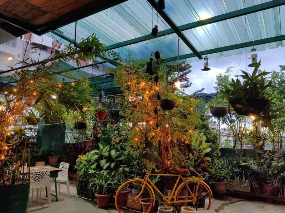 The Nook Rooftop Condo And Garden غاواهاتي المظهر الخارجي الصورة