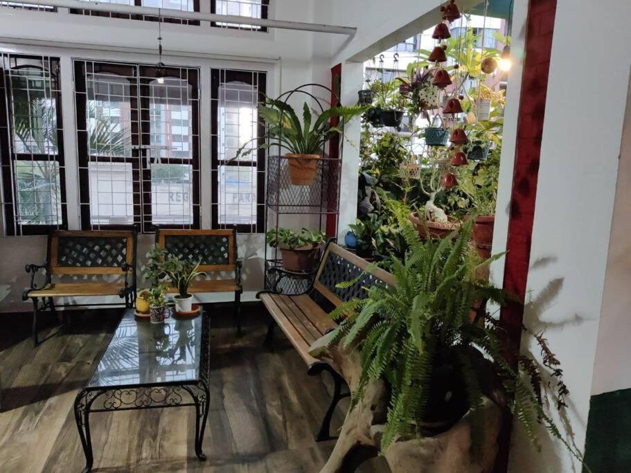 The Nook Rooftop Condo And Garden غاواهاتي المظهر الخارجي الصورة